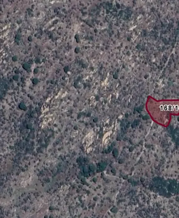 Muğla Milas Ketendere'de 3.137 m2 Satılık Zeytinlik