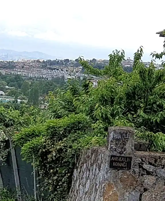 Yalova Merkez'de 6 Dönüm , Üzerinde Villa Olan Satılık Arsa