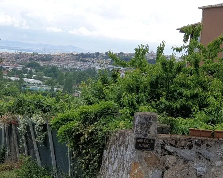 Yalova Merkez'de 6 Dönüm , Üzerinde Villa Olan Satılık Arsa