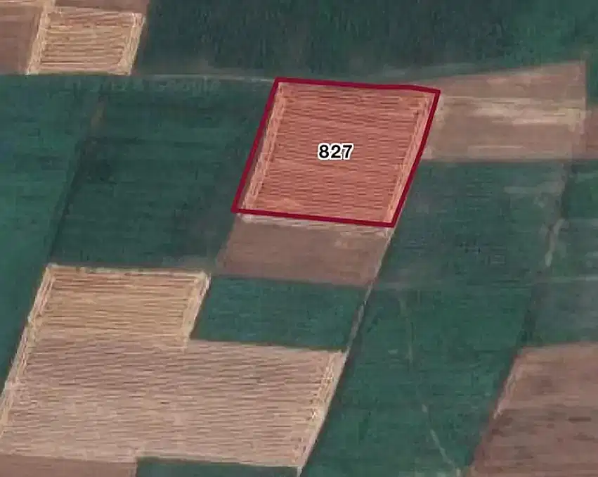 Edirne Merkez Hacıumur Köyünde Hisseli 10.000m2 Satılık Tarla